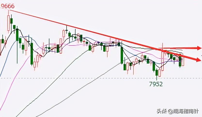 商品期货操作建议,鸡蛋2409期货最新操作建议