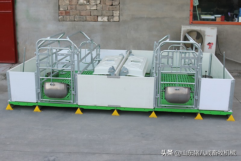 内蒙古欧式双体母猪产床,欧式产床的优势