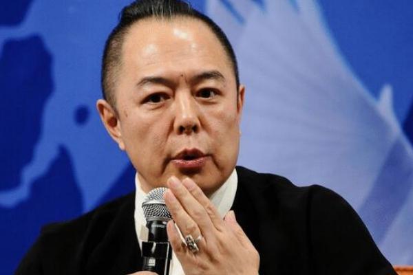 国内发财国外花的7位富豪,国内挣钱国外花的十大明星