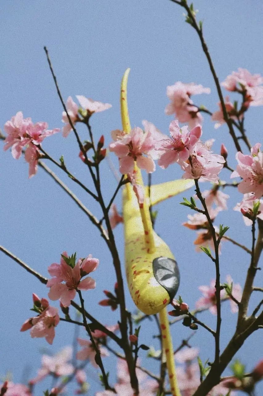 错过了一个秋天,错过了一个春秋