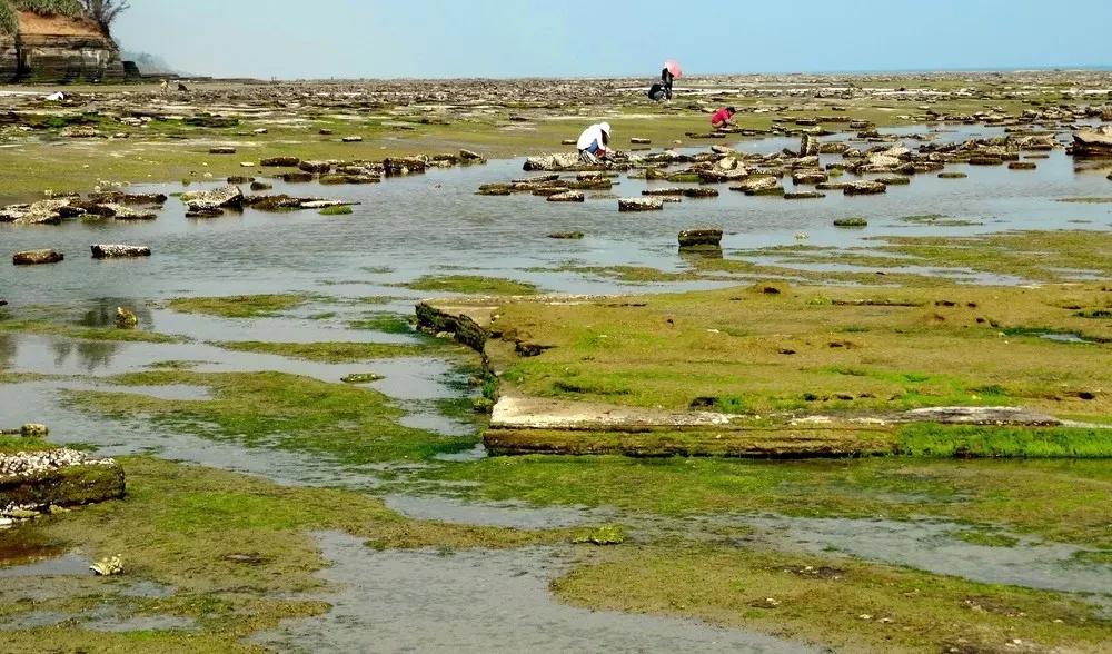 北海4天3夜自由行攻略,北海4天自由行详细攻略最新
