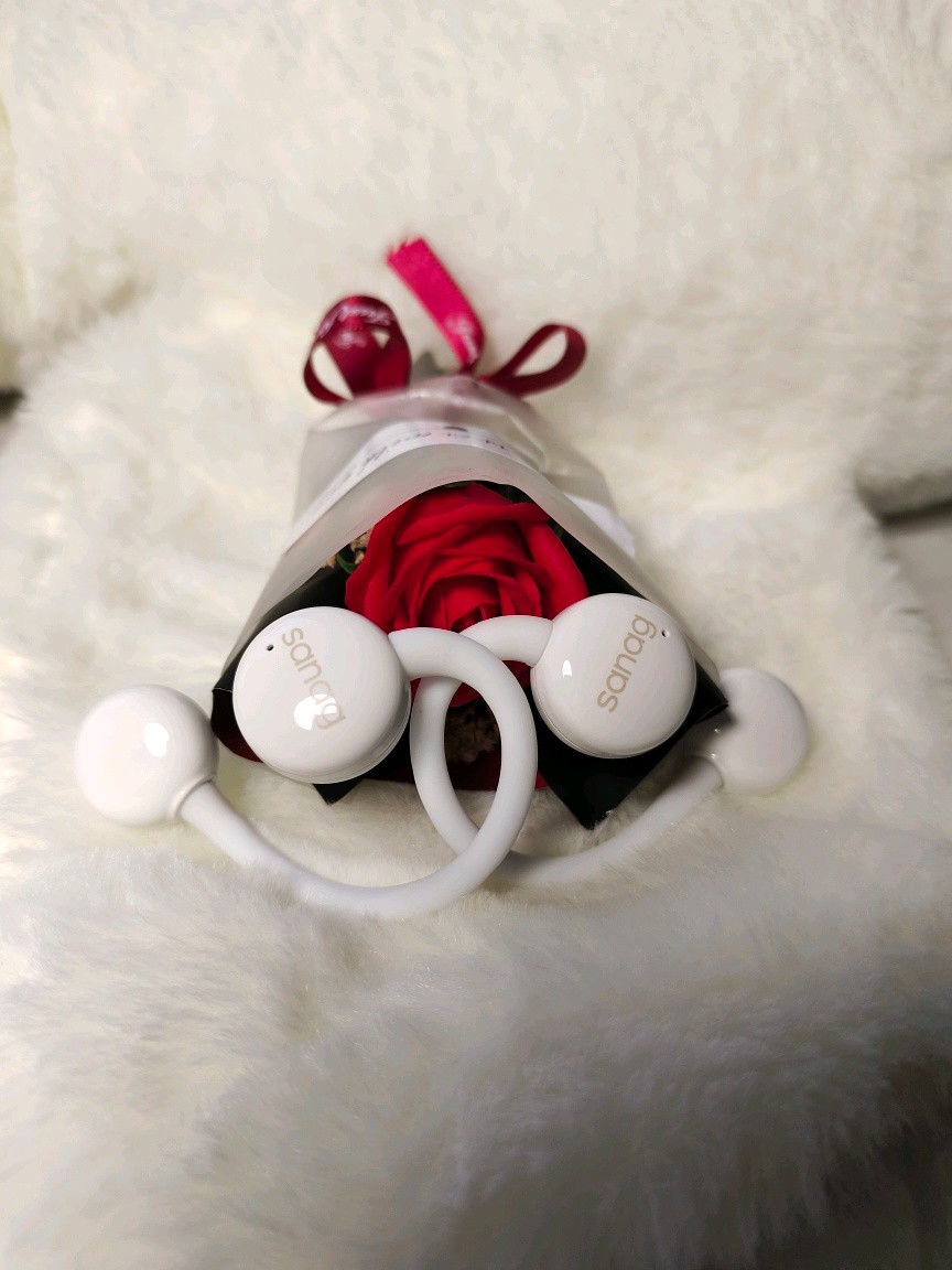 sanag塞那z61spro顶配版,sanag蓝牙耳机z61s说明书