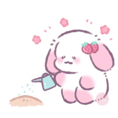 听说龙哥来为女王节应援了?