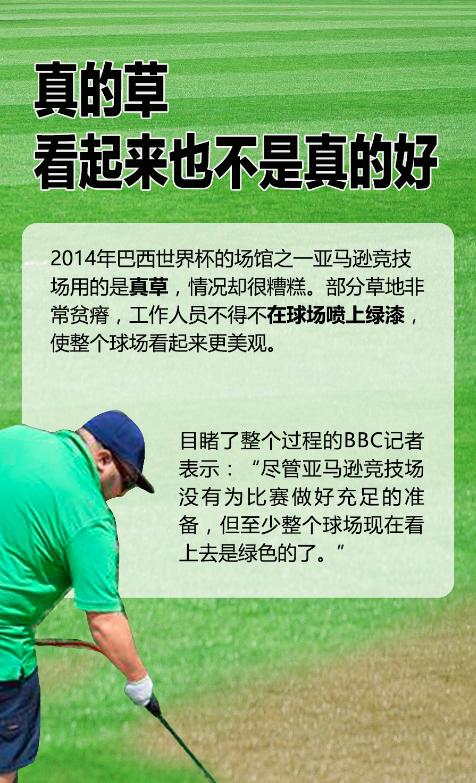 世界杯的草是真草还是假草,世界杯的草地是真的吗