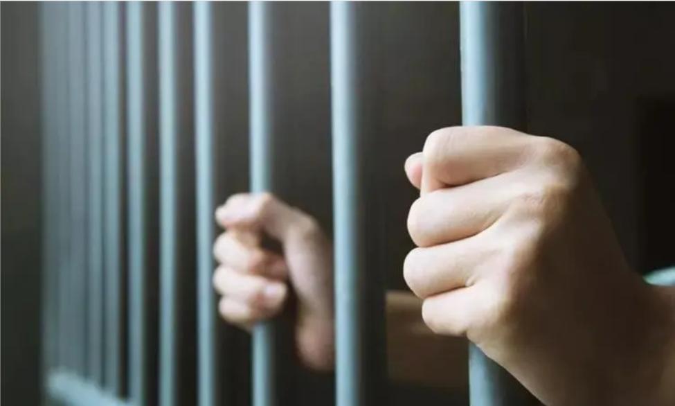 沙雕动画识破伪装,可怕的伪装第一集