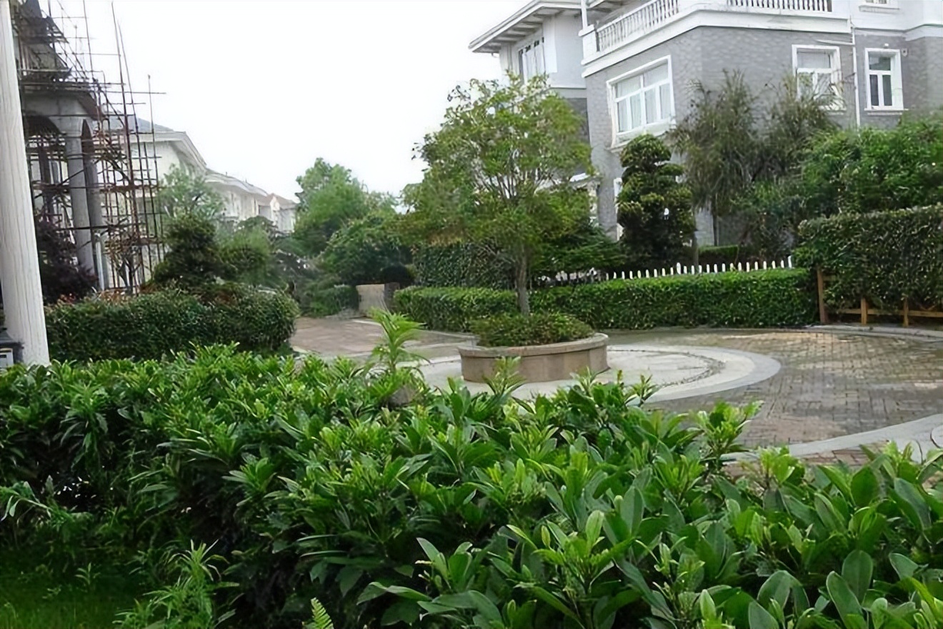 女子怀孕7个月吸毒被抓,温州一女子怀孕成瘾