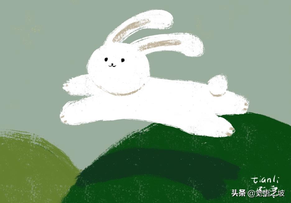 养兔子怎么防止兔子打洞,买兔子和养兔子的过程