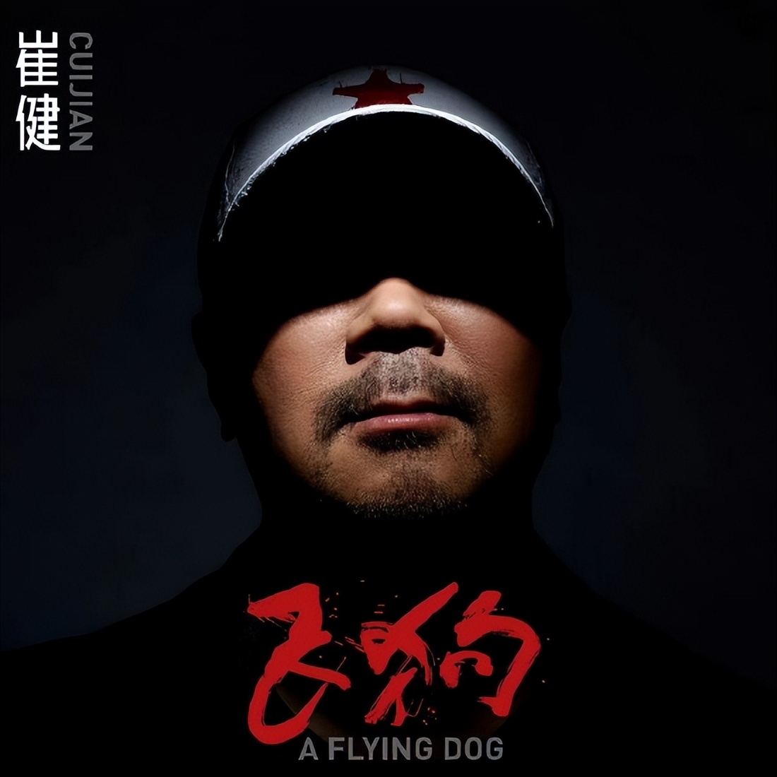 蔡健雅入围金曲奖,蔡健雅赢过哪些歌后