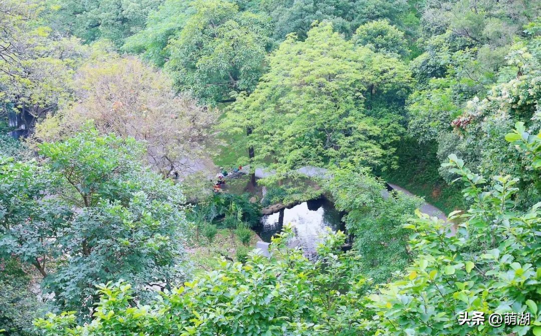 五一广州旅游攻略推荐,五一广州游玩攻略一览表