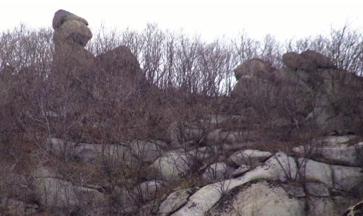 凝聚与分离：《歇马山庄》中的女性羁绊，与对农村生活困境的剖析