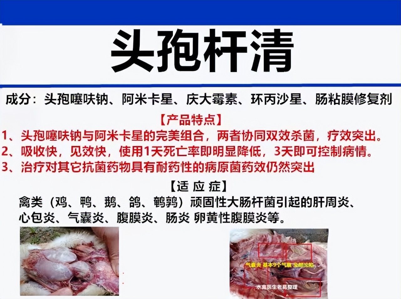 鹅蛋子瘟是病毒病吗,禽医刘帆技术服务