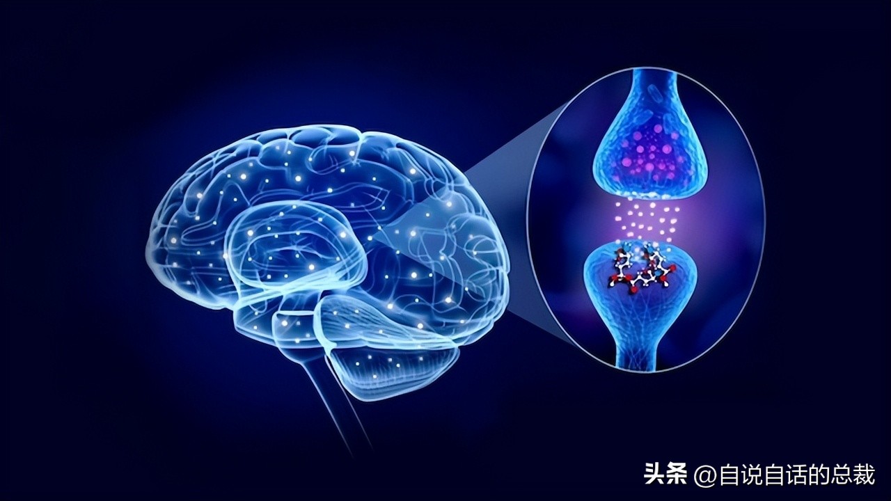 味精没有那么可怕,味精的真相