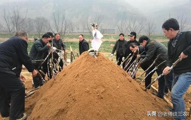 农村风俗七不葬父八不葬母,排棺葬习俗