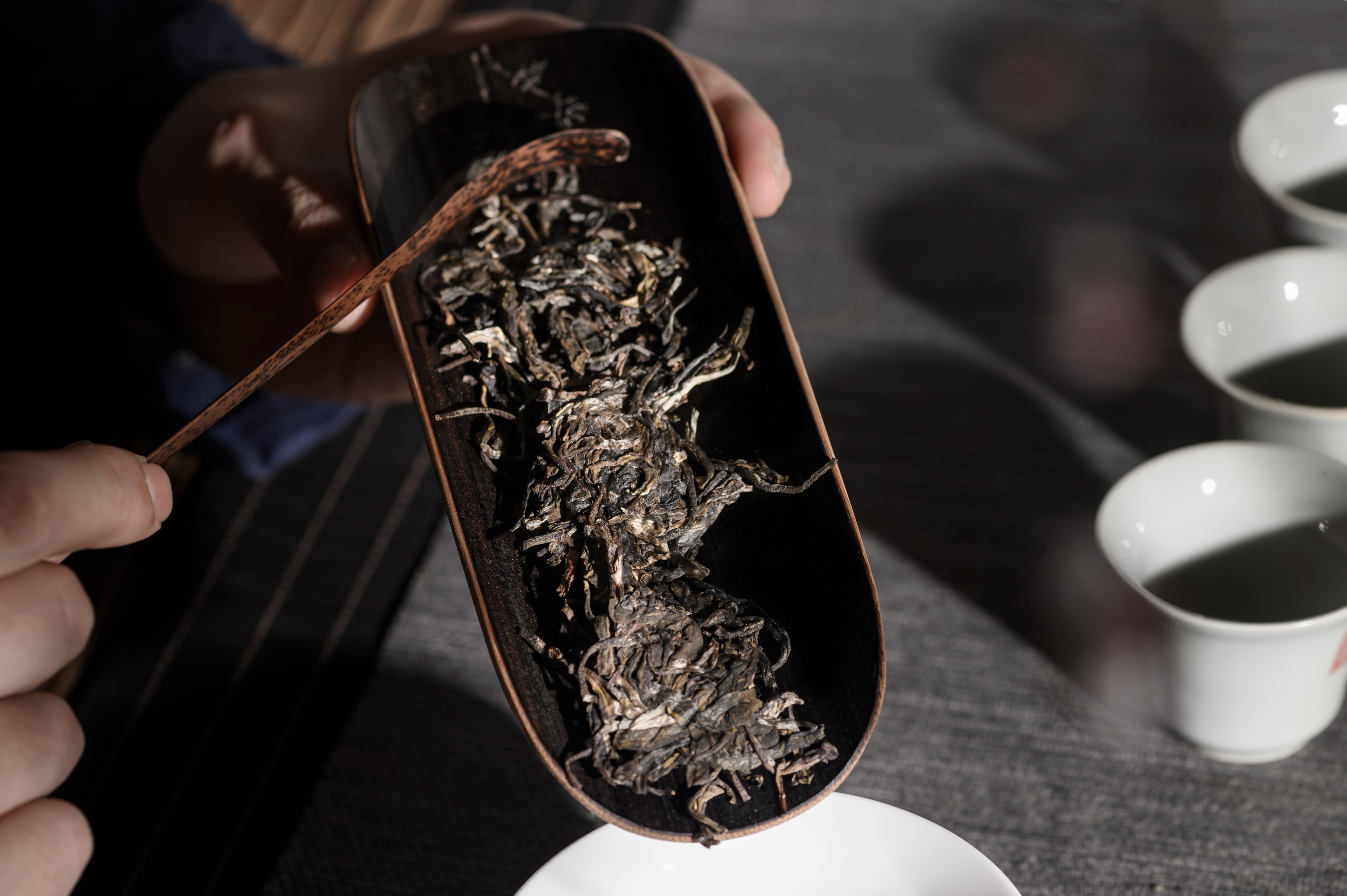 老茶人普洱茶发酵方法,老茶人视频教学