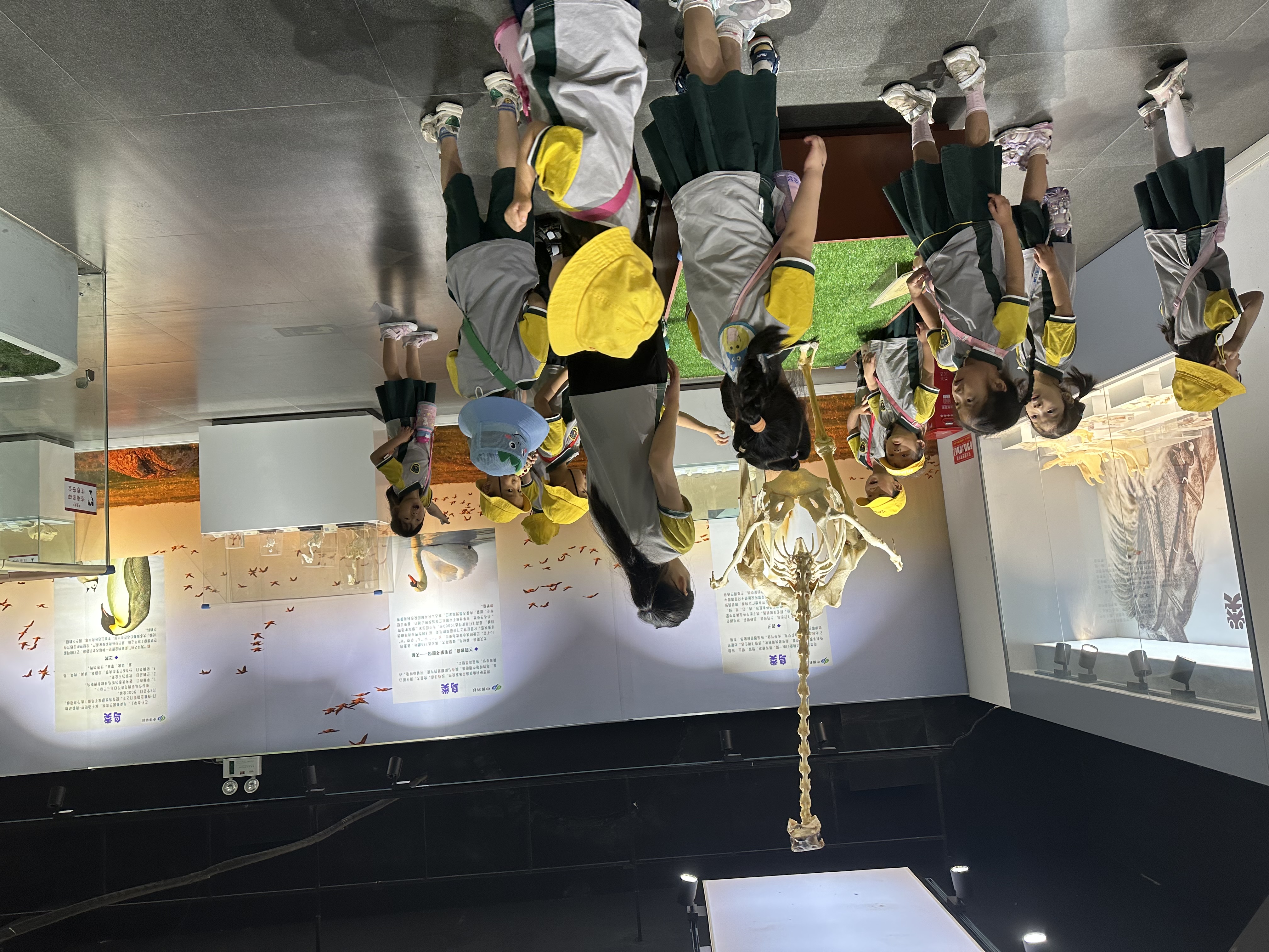 郑州夏天避暑游玩好地方,郑州夏天避暑游玩好去处