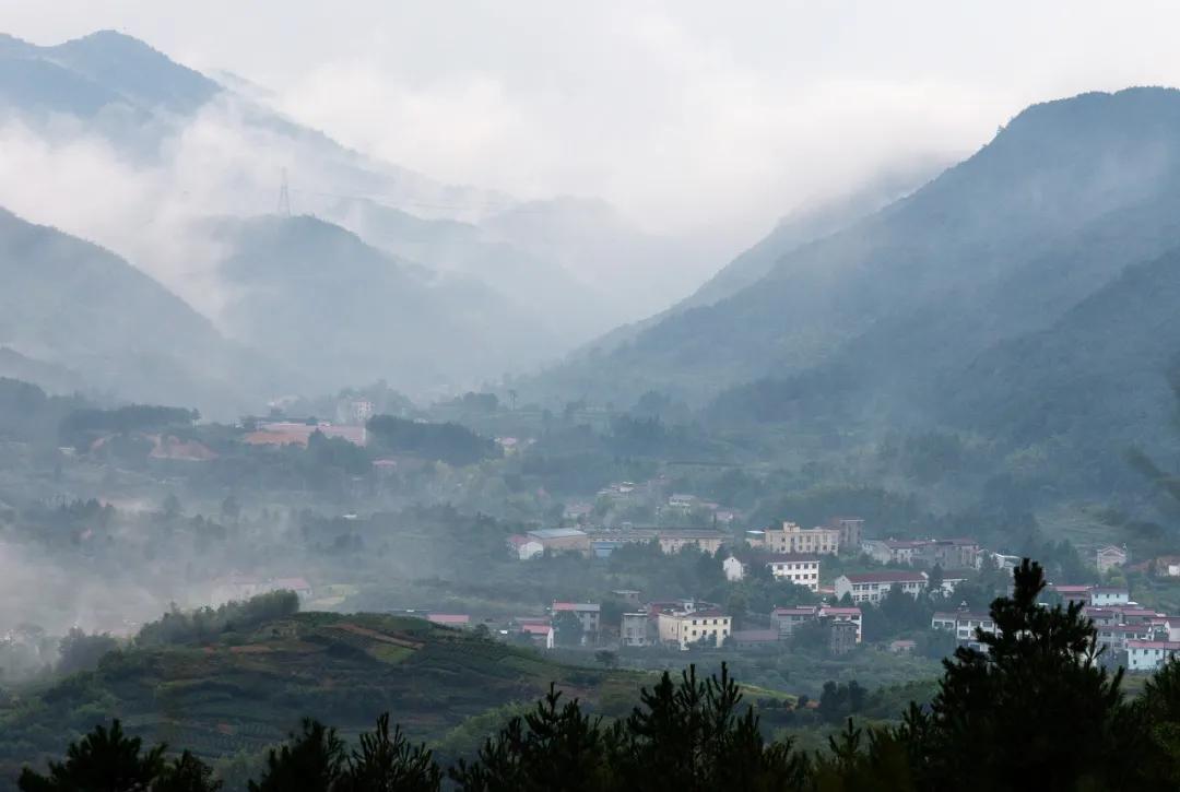浙江最快的高铁,浙江第一条高铁开通时间