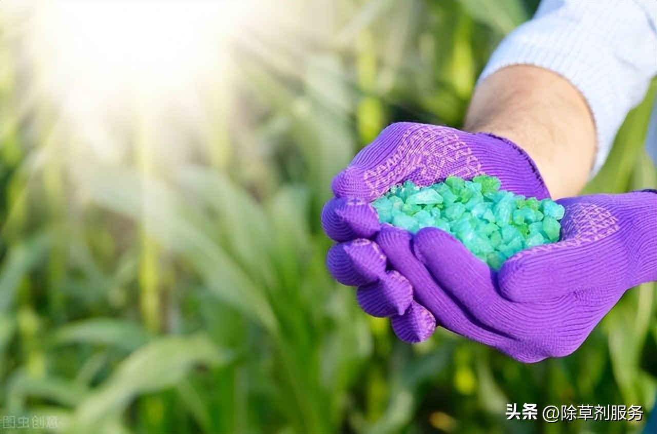 不得不知的知识大全,不得不知的知识