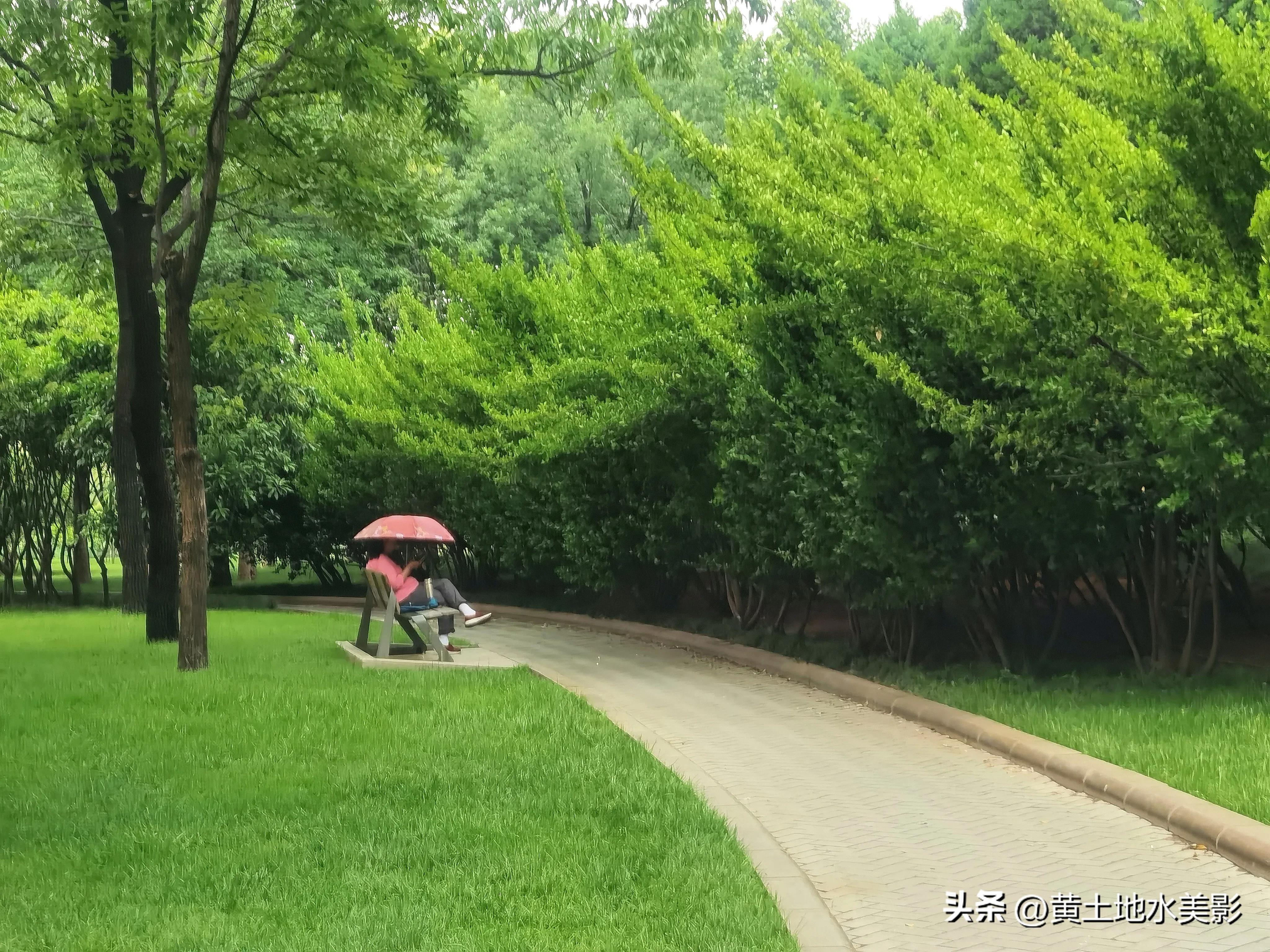 郑州儿童节周边游,郑州室外适宜小朋友游玩的景点