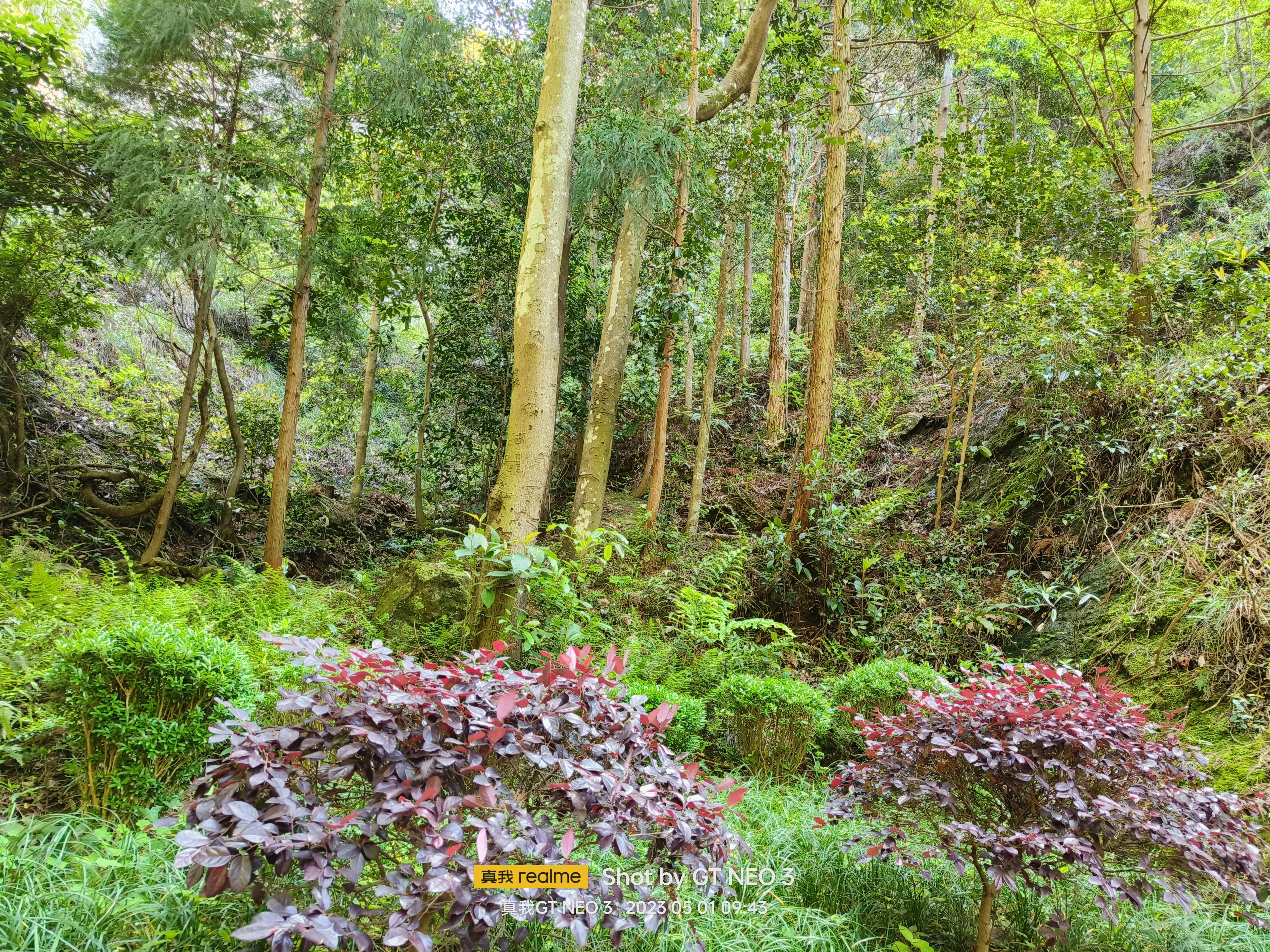 雁荡旅游日,雁荡二日游亲子