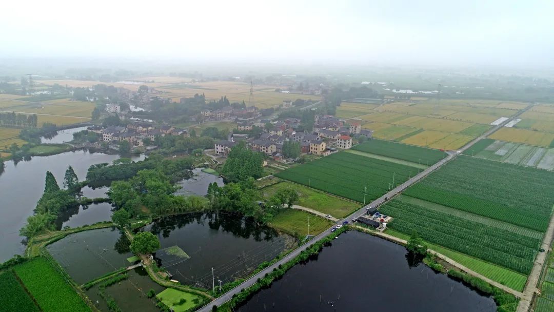 这个周六，瓶窑张堰千“茭”百态初夏游，约不？