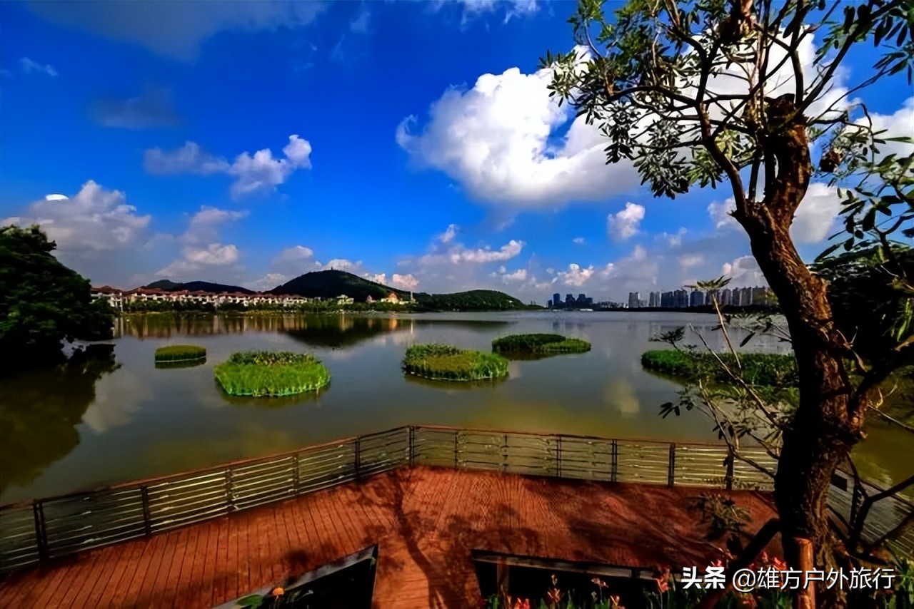 佛山花海旅游推荐,佛山花海生态公园