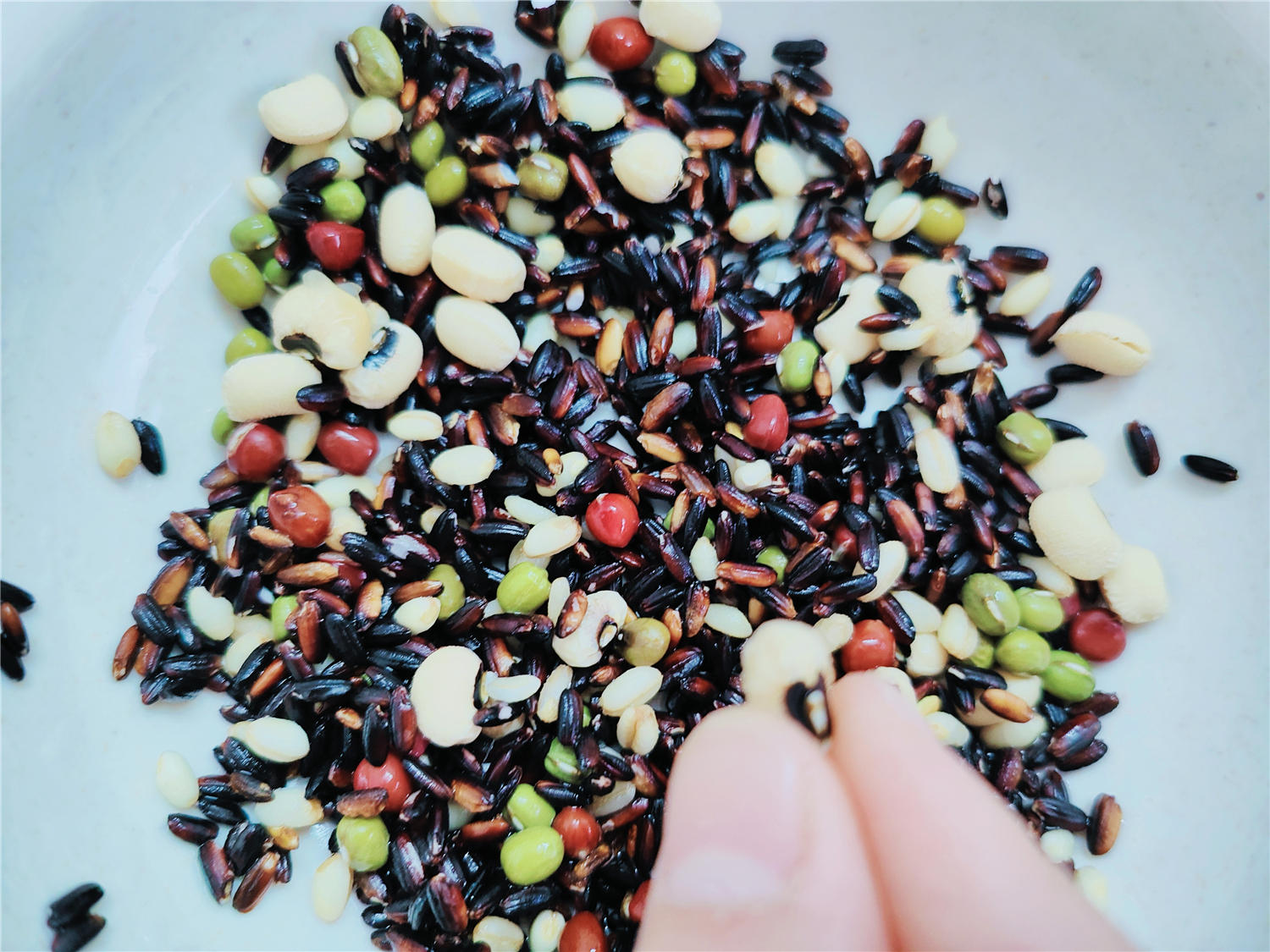 北鼎养生壶哪一款最好用,养生壶怎么选北鼎养生壶大盘点