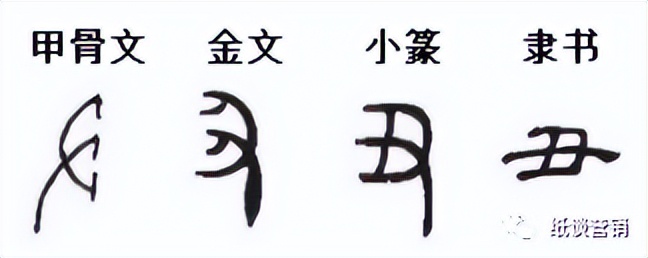 详解十二生肖中五行,详解十二地支所代表的含义
