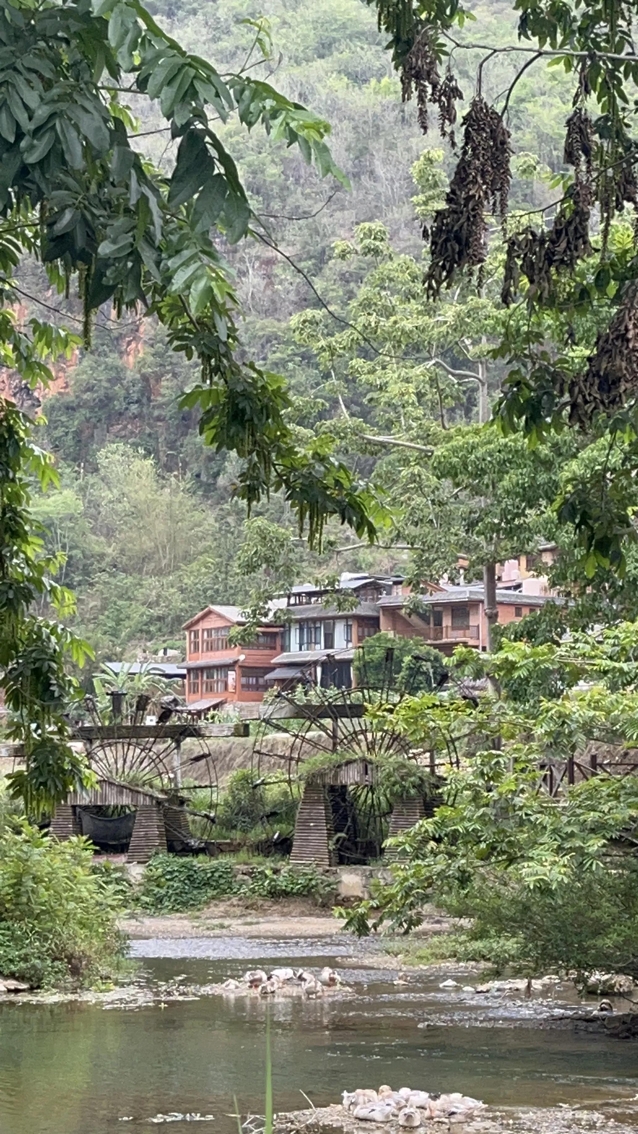 云南十天旅游,云南坝美旅游攻略