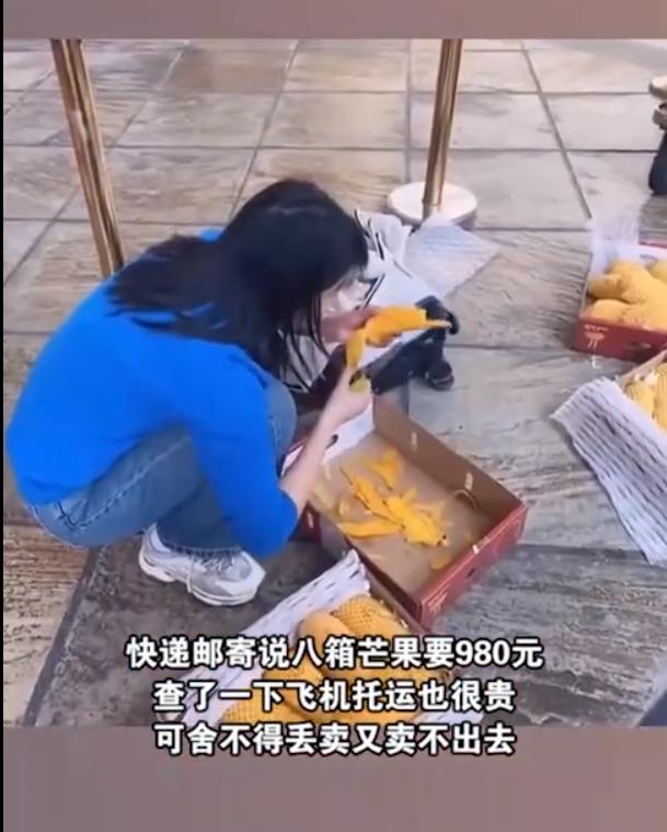 8箱芒果托运,女子托运八箱芒果太重当场吃