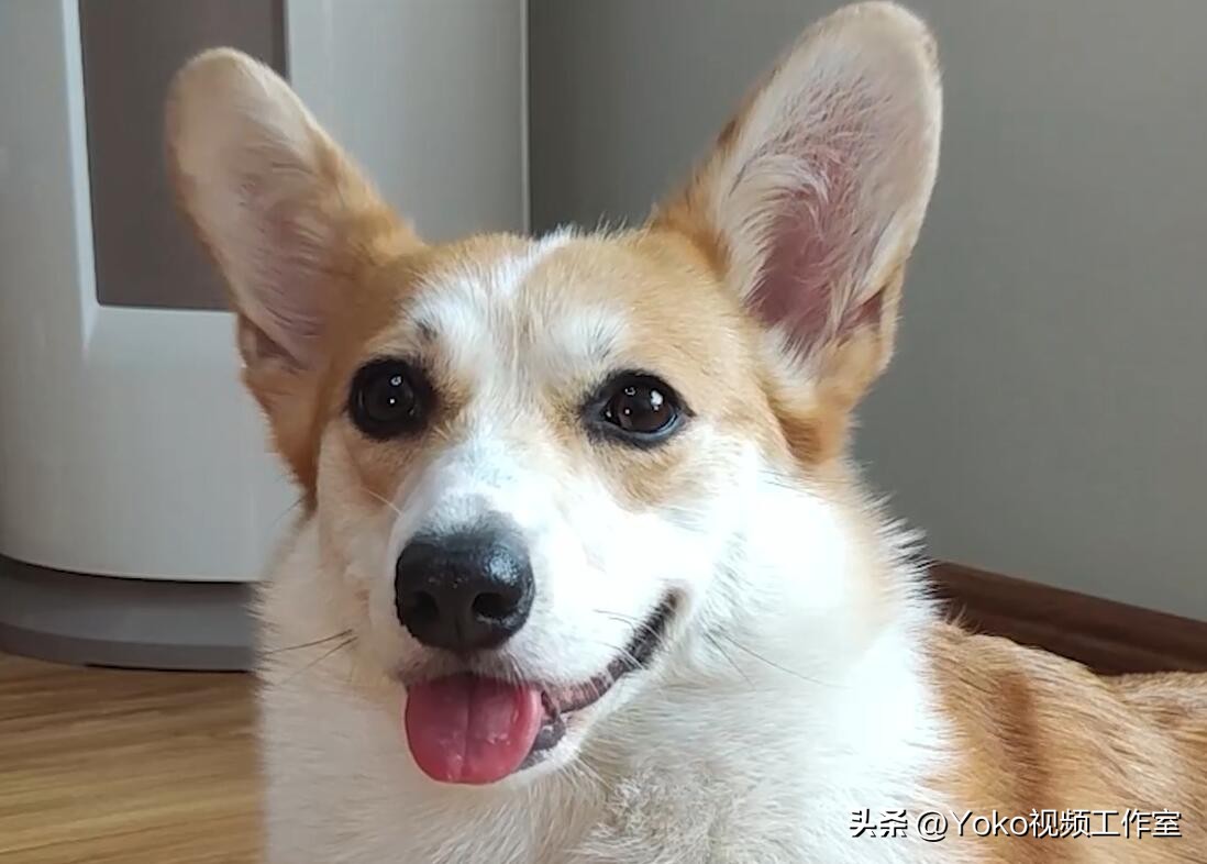 新电脑怎么验机验屏幕,新电脑怎么验机用什么软件