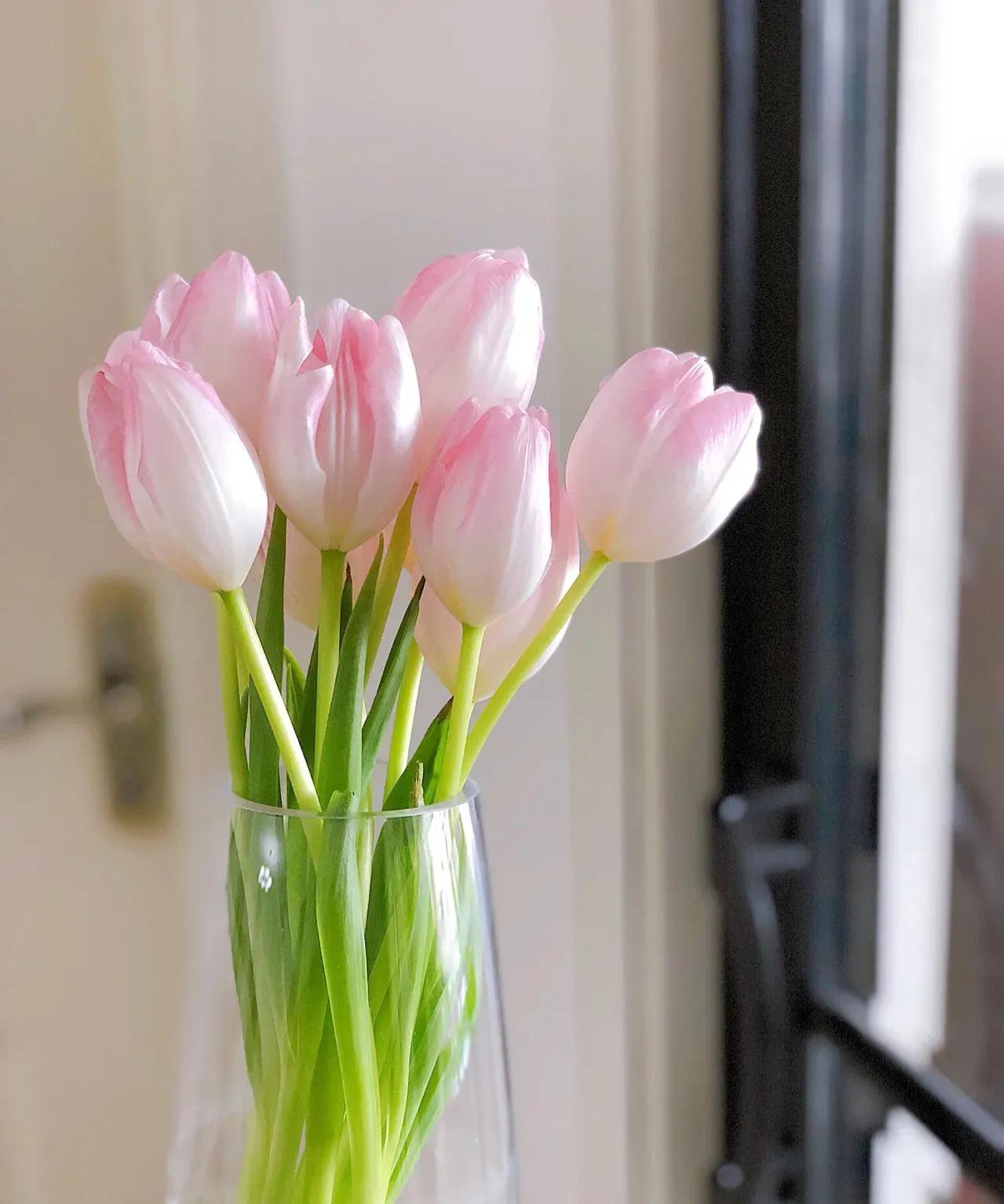 提升赚钱能力的九个思维方式,赚钱的五个境界