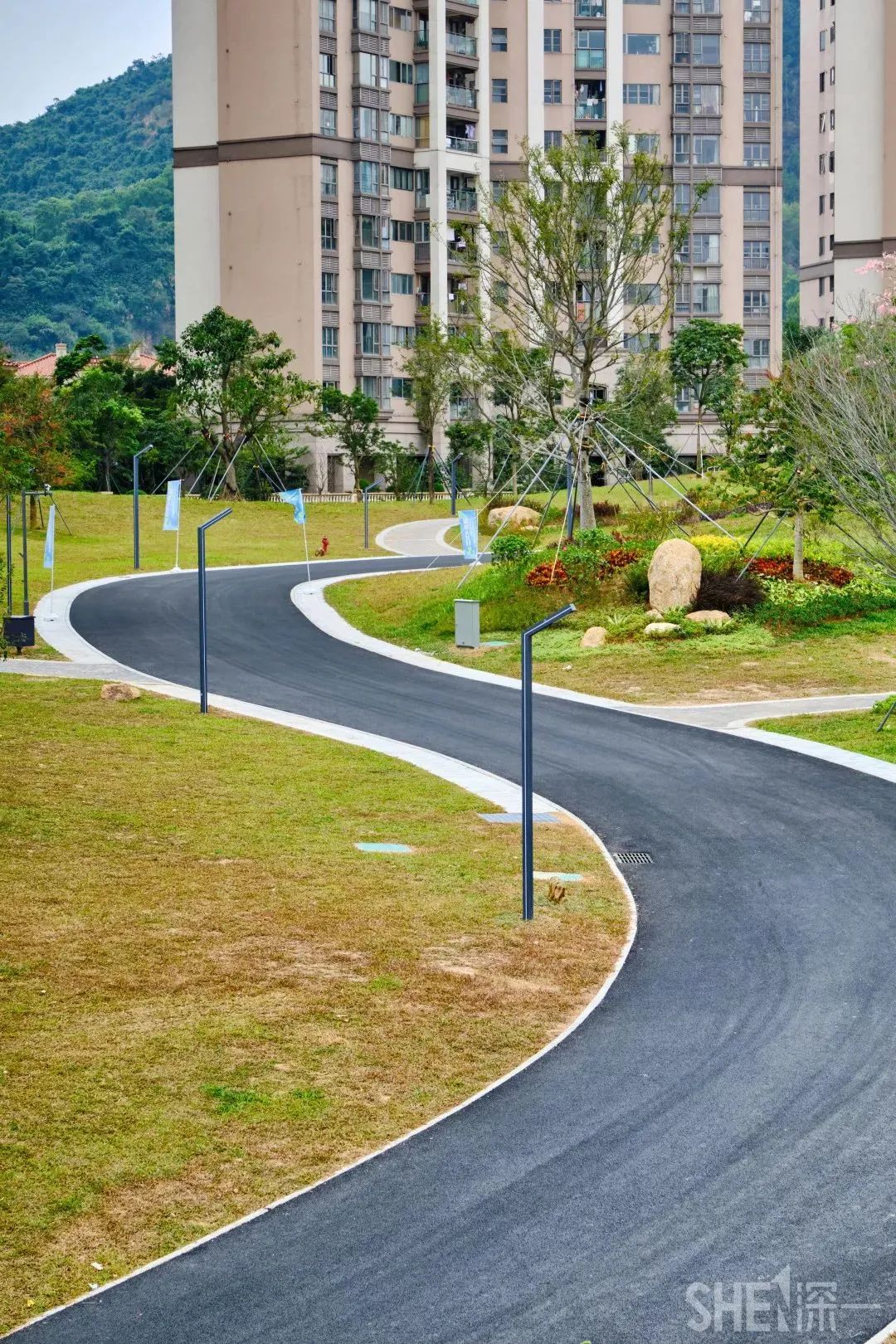 深圳10公里跑步路线,深圳跑步路线推荐塑胶跑道