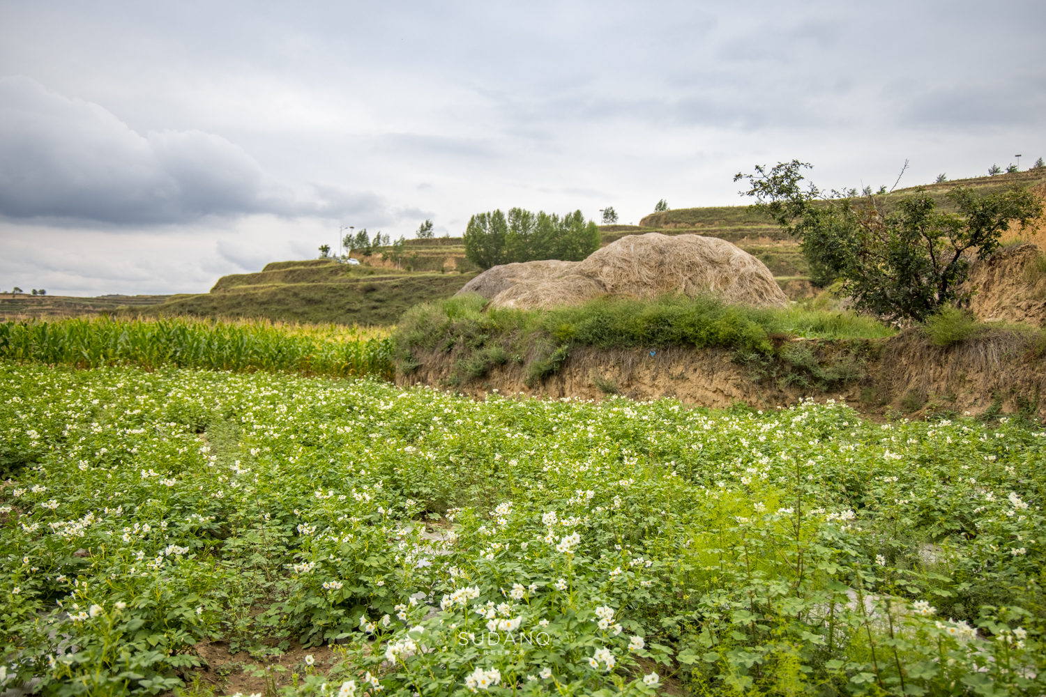 甘肃定西被评为不适宜居住地,甘肃定西薯都简介