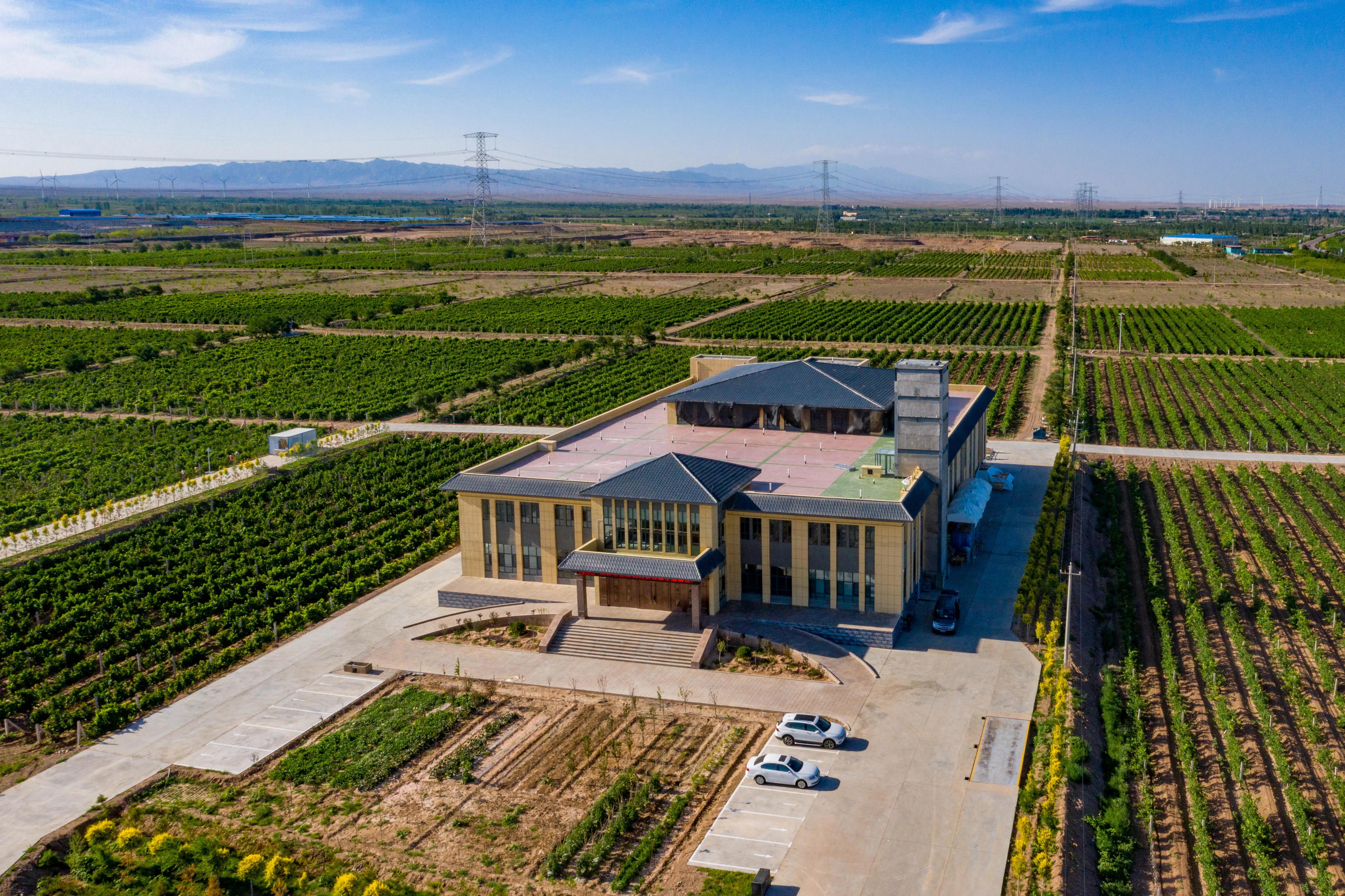 葡萄酒有哪些主要产区和特点,中国最好的葡萄酒产地是哪里