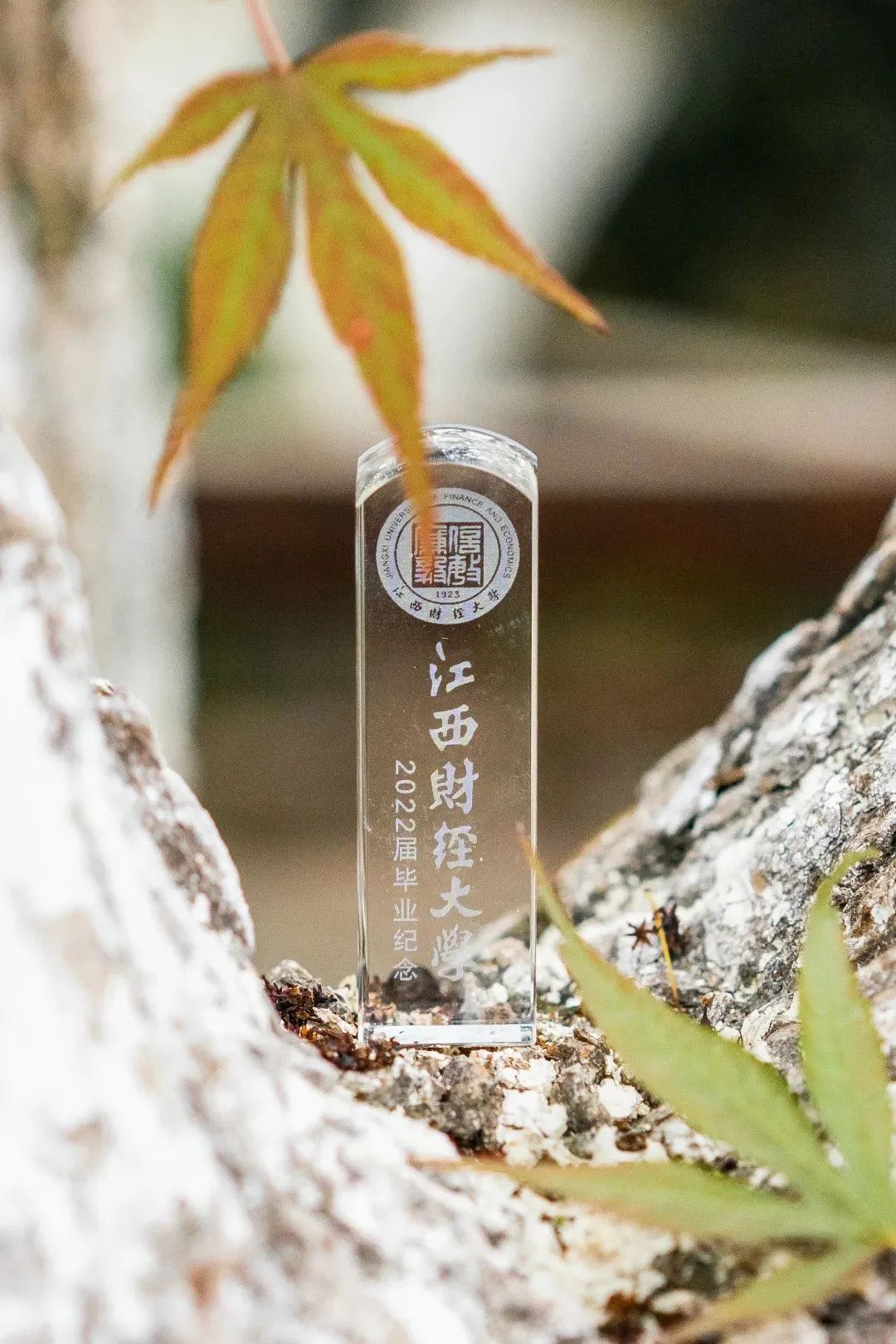 学生给学院送什么毕业礼物好,高校毕业礼物走心又暖心