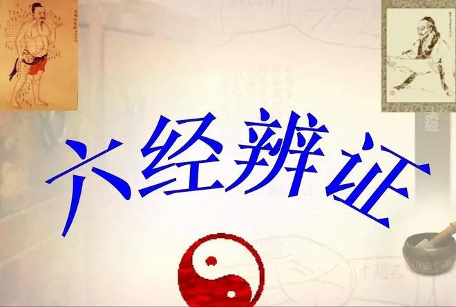 中医辨证论治体系,中医四诊八纲脏腑学说