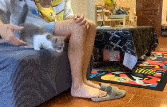 坐高铁遇到旁边老阿姨脱鞋,坐高铁遇到旁边阿姨脱鞋