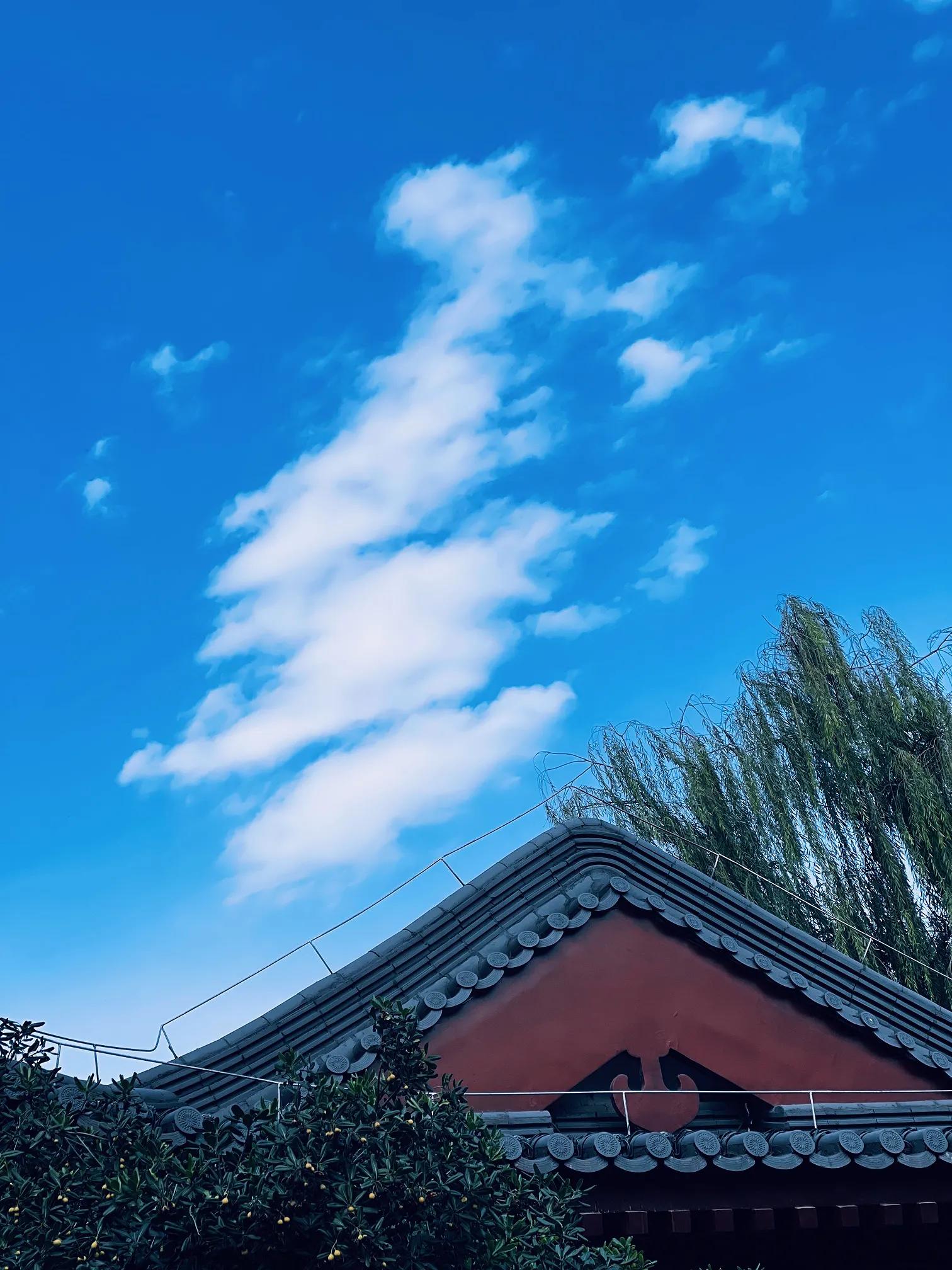 兴庆公园长乐之声合唱团直播现场,兴庆公园大合唱