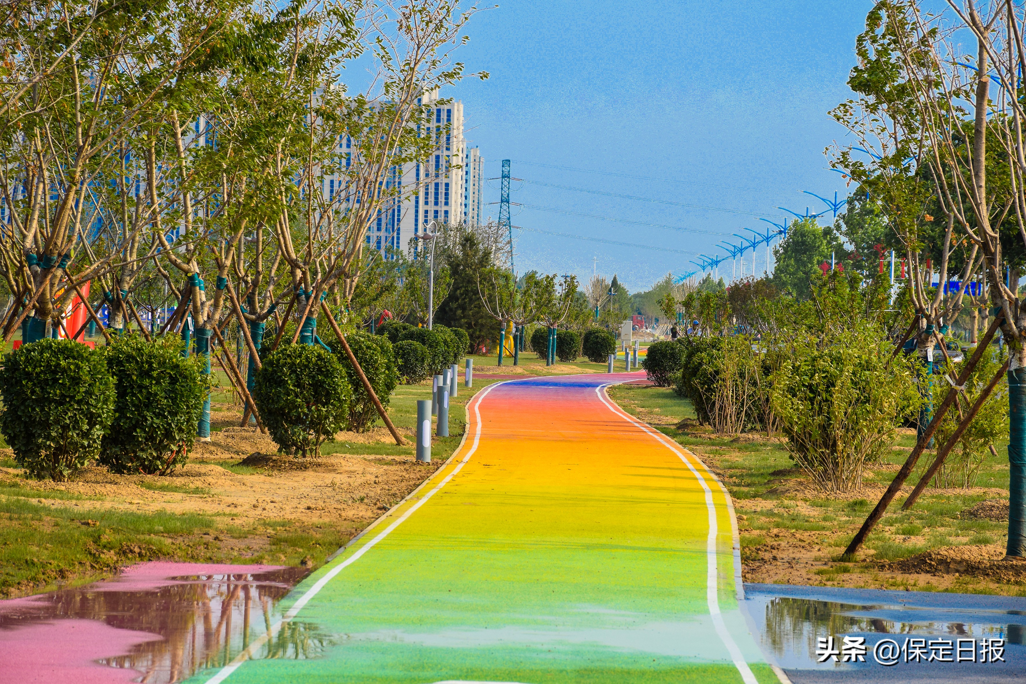 公园的建设,公园城市建设建议