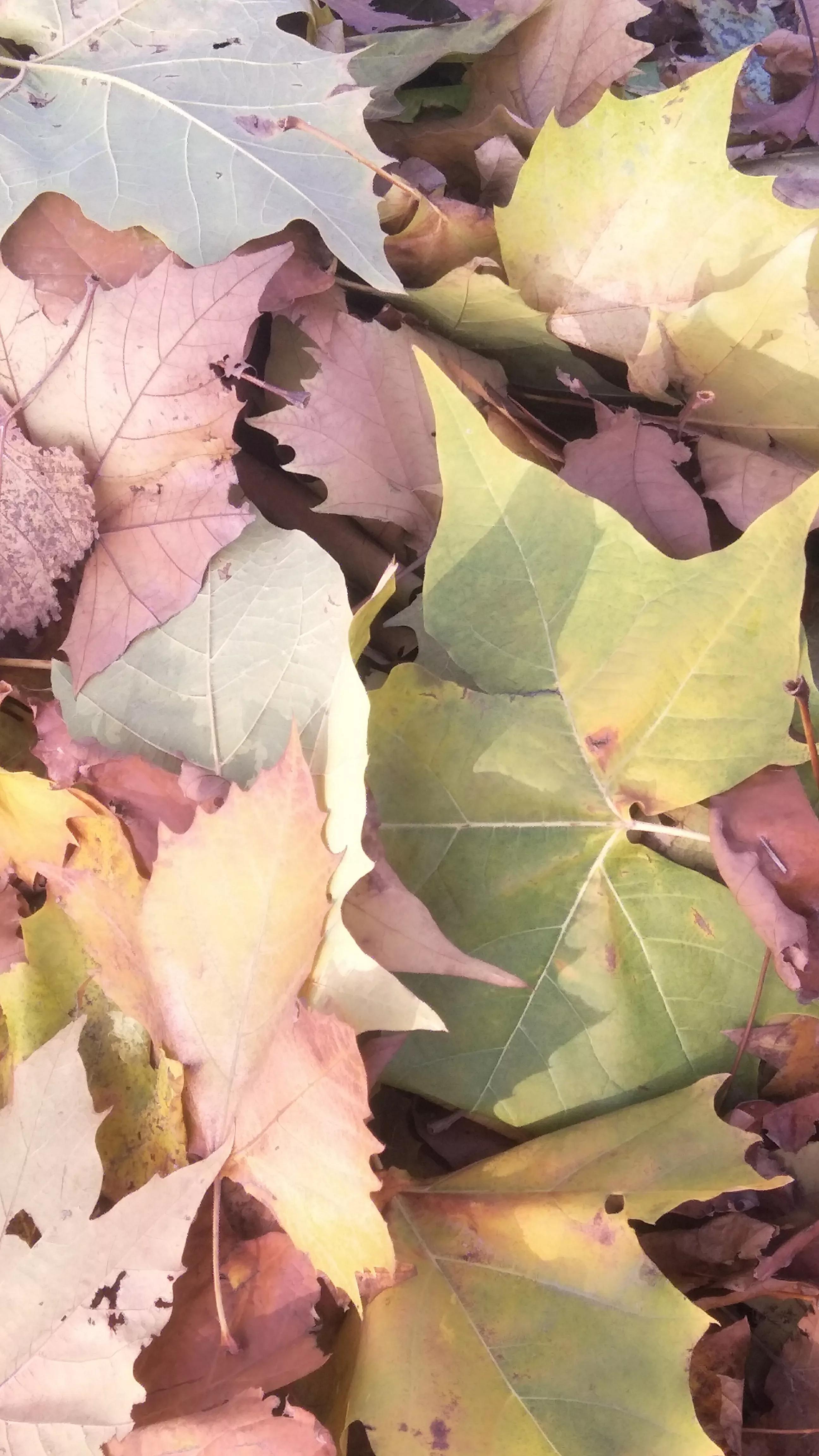 中国诗词全集,中华诗词第12期目录