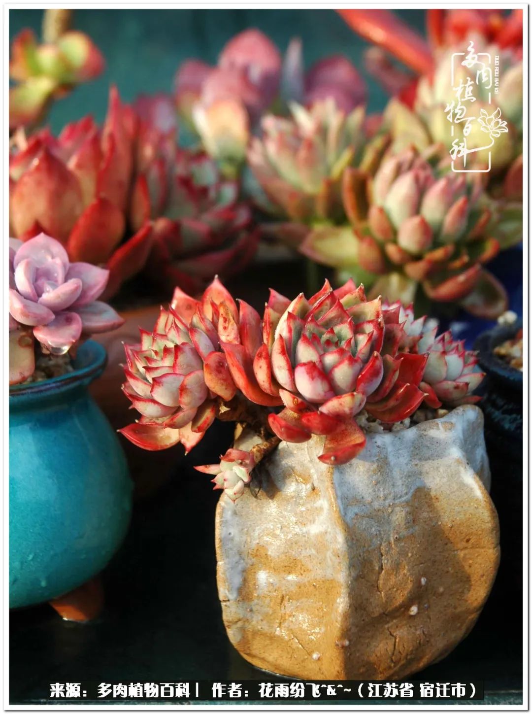 回味童年无忧无虑的快乐时光,童年最快乐的时光