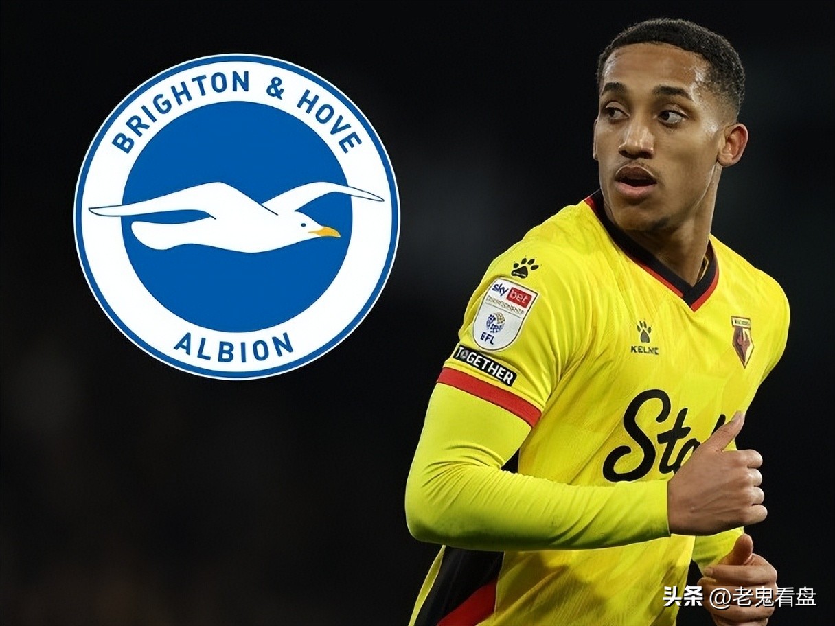 布莱顿各球员身价,布莱顿若奥佩德罗转会