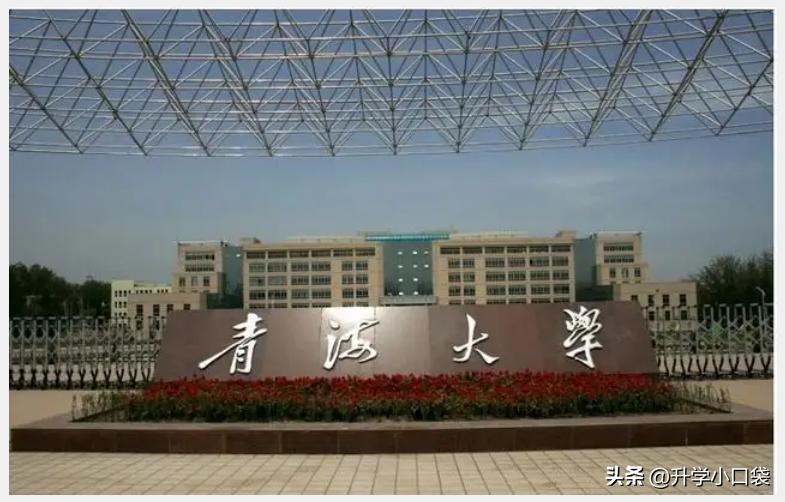 青海大学2023年保研情况，全校保研231人，男生保研94人