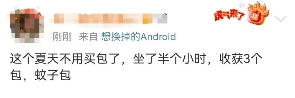 为什么广东春夏秋冬都有蚊子,广东蚊子最怕的地方