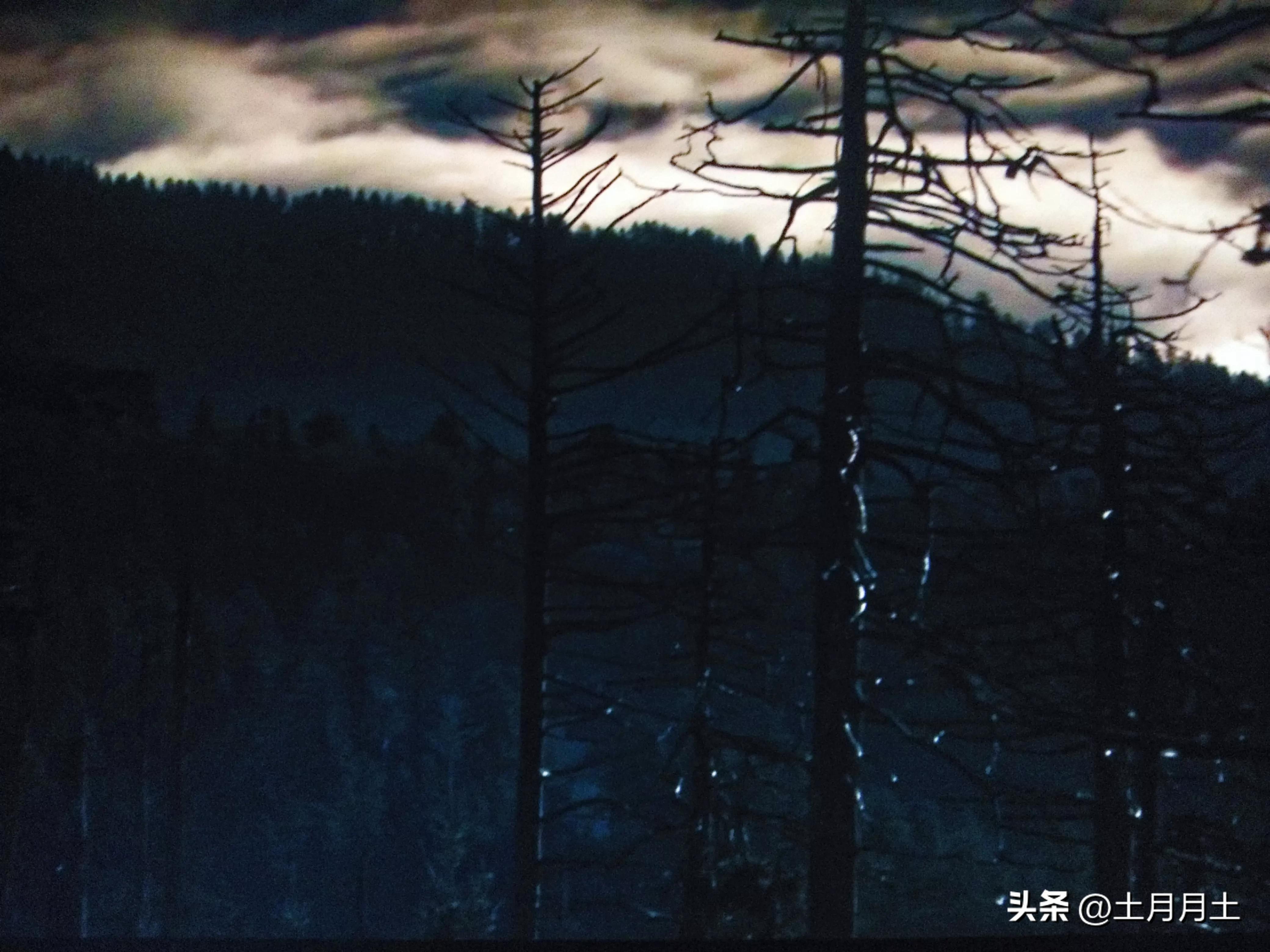 上班时间小职员被老板抓,上班时间被老板抓到玩游戏怎么办