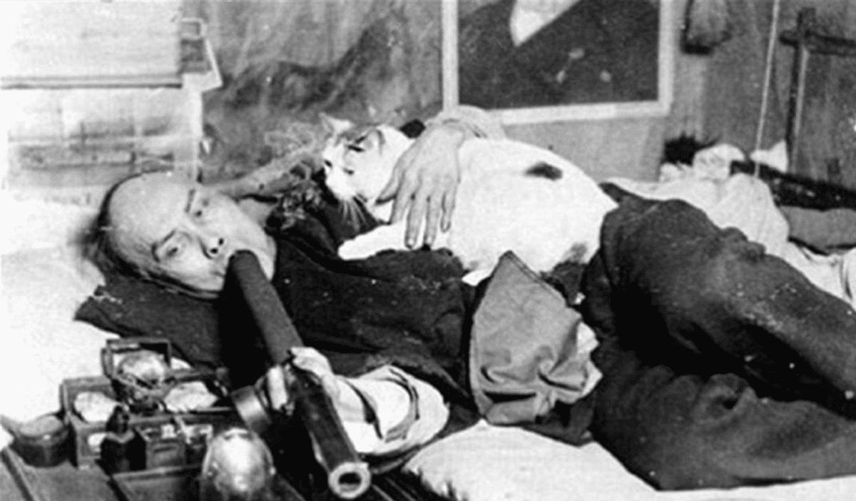 日军日记真实纪实,日军日记真实记录