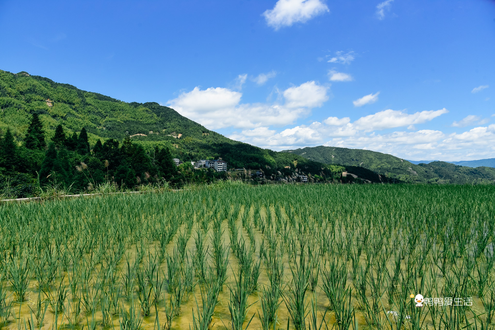 泰顺温泉酒店带私人泡池,温州瓯海泡温泉
