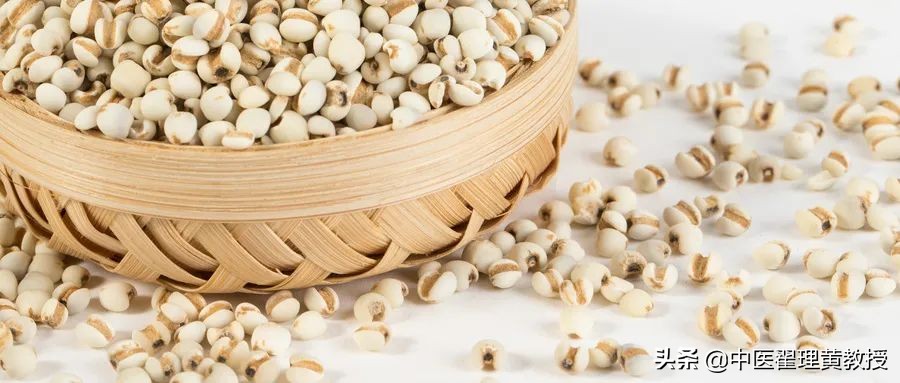 气虚脾虚的食补方法,调理脾虚的最好方子