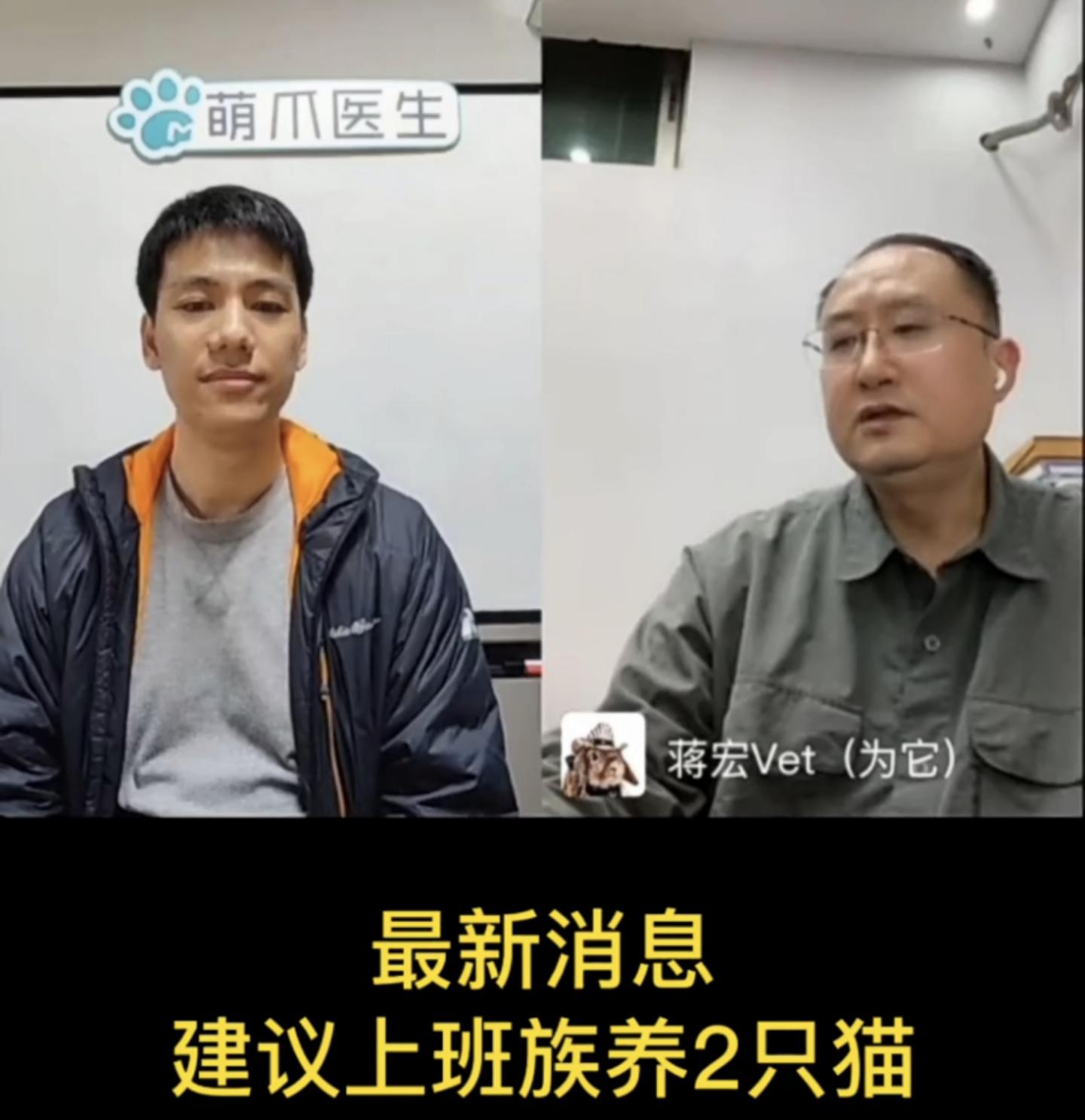 猫行为纠正师学习,猫行为学课程