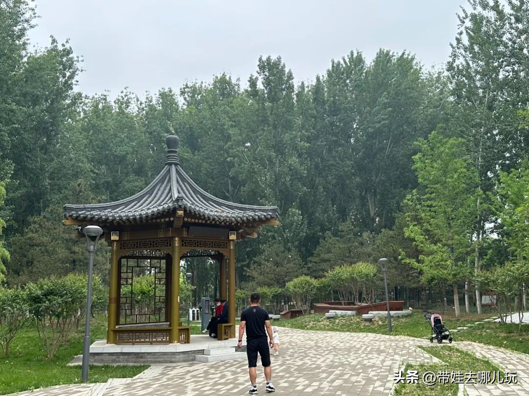 可搭帐篷公园,可以骑车搭帐篷的公园